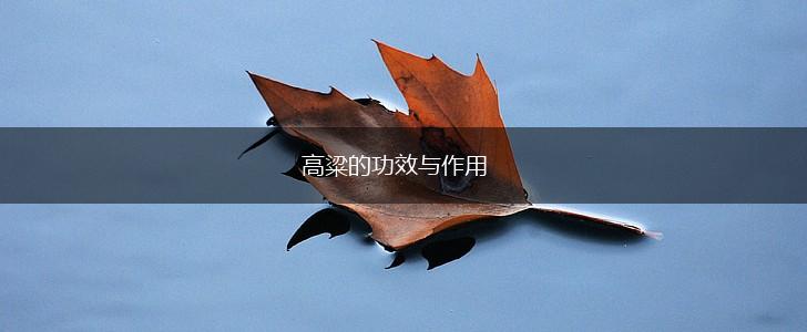 高粱的功效与作用,第1张