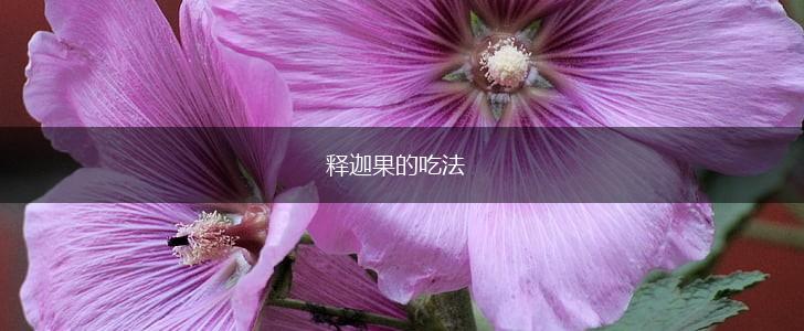 释迦果的吃法,第1张