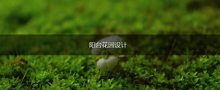 阳台花园设计,第1张
