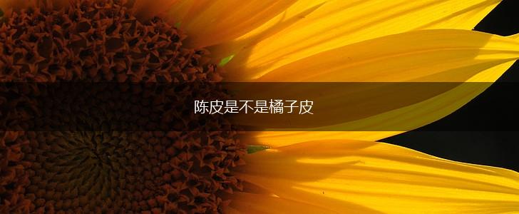 陈皮是不是橘子皮,第1张