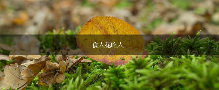 食人花吃人,第1张