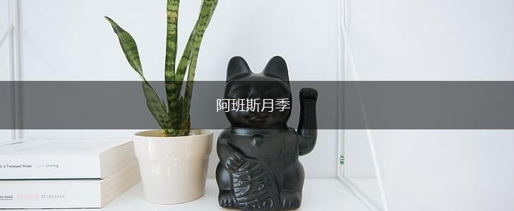 阿班斯月季,第1张