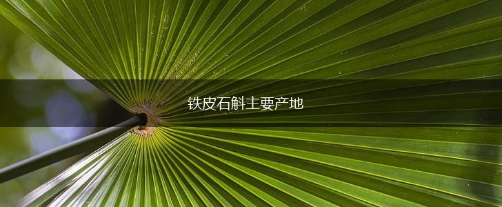 铁皮石斛主要产地,第1张