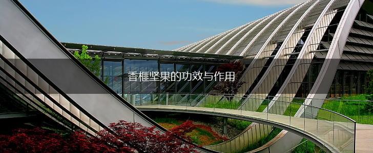 香榧坚果的功效与作用,第1张