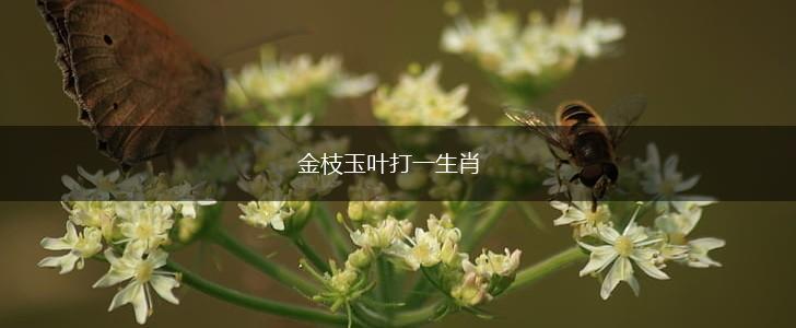 金枝玉叶打一生肖,第1张