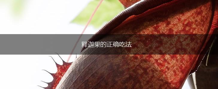 释迦果的正确吃法,第1张