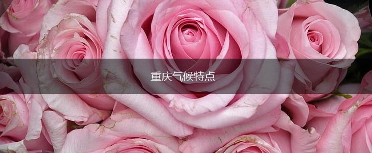 重庆气候特点,第1张