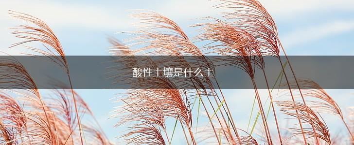 酸性土壤是什么土,第1张