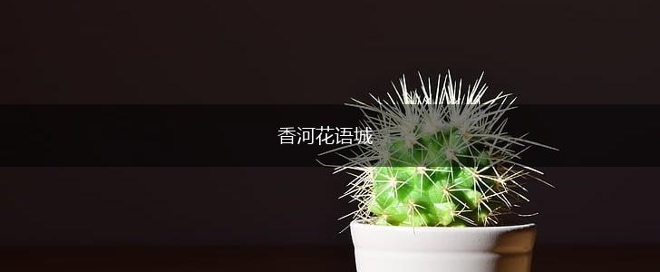 香河花语城,第1张