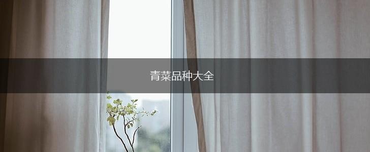 青菜品种大全,第1张
