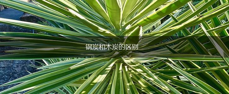 钢炭和木炭的区别,第1张
