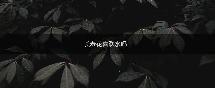 长寿花喜欢水吗,第1张