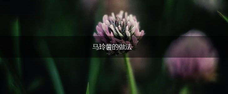 马玲薯的做法,第1张