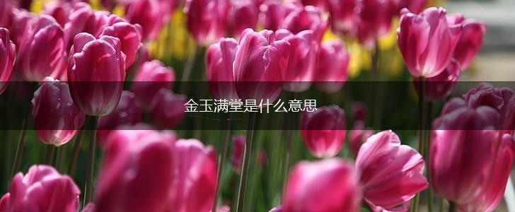 金玉满堂是什么意思,第1张