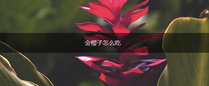 金樱子怎么吃,第1张