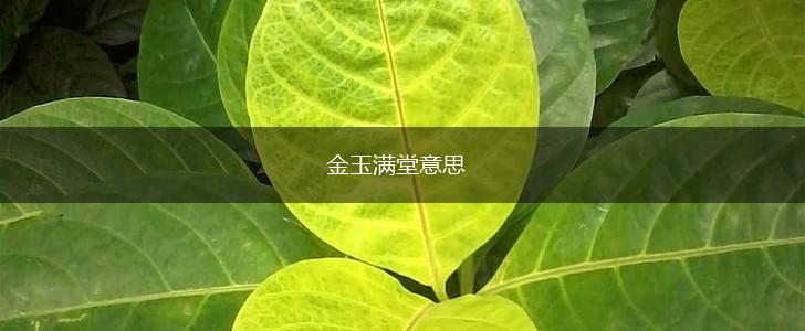 金玉满堂意思,第1张