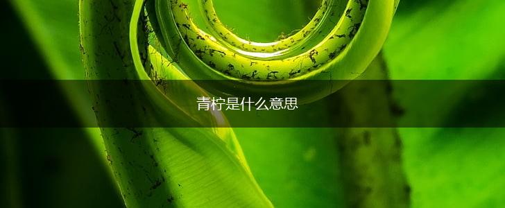 青柠是什么意思,第1张