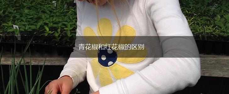 青花椒和红花椒的区别,第1张