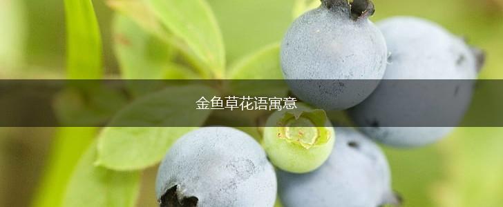 金鱼草花语寓意,第1张