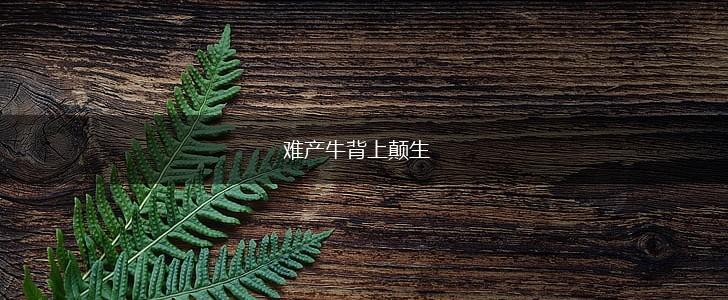 难产牛背上颠生,第1张