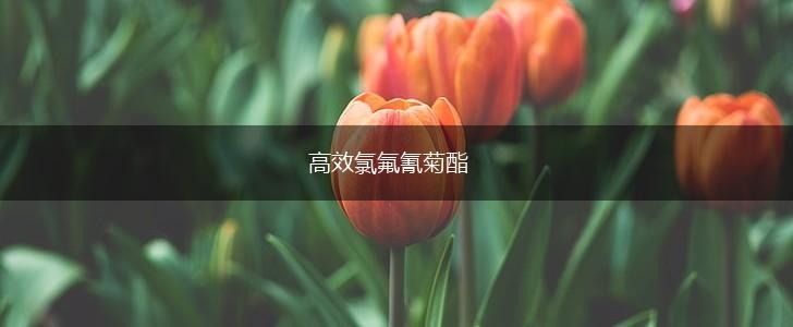 高效氯氟氰菊酯,第1张