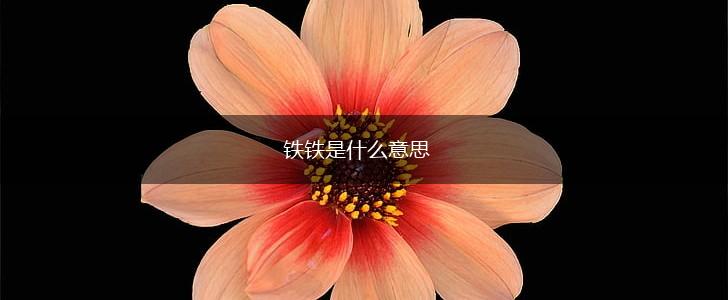 铁铁是什么意思,第1张