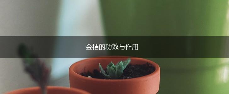 金桔的功效与作用,第1张