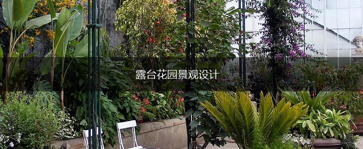 露台花园景观设计,第1张