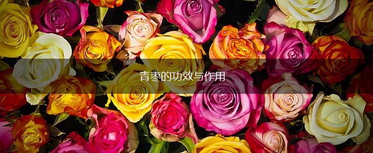 青枣的功效与作用,第1张