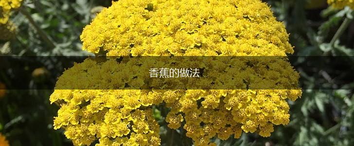 香蕉的做法,第1张
