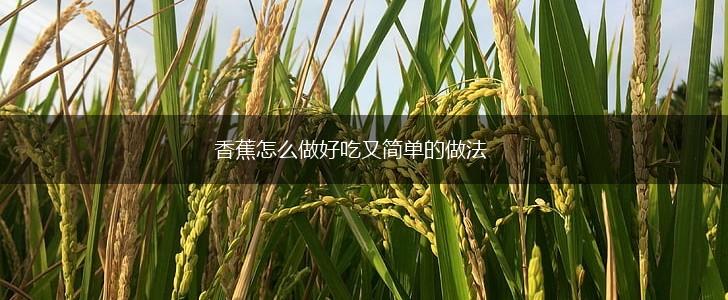香蕉怎么做好吃又简单的做法,第1张