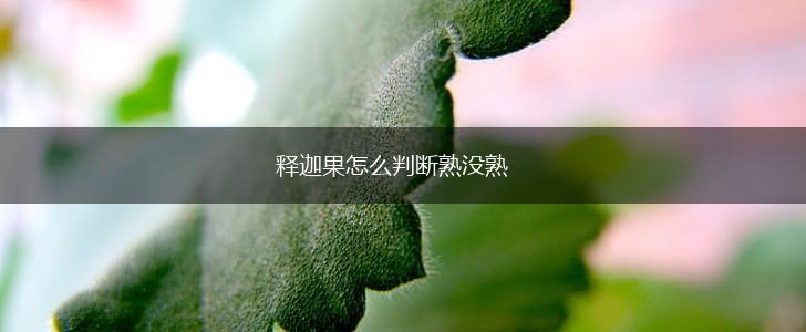 释迦果怎么判断熟没熟,第1张