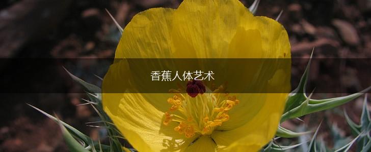 香蕉人体艺术,第1张
