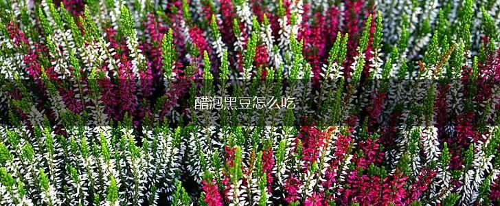 醋泡黑豆怎么吃,第1张