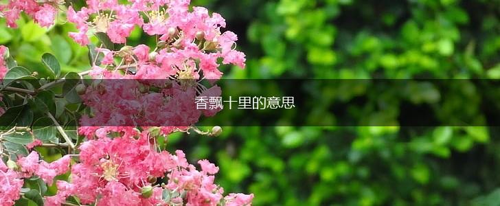 香飘十里的意思,第1张