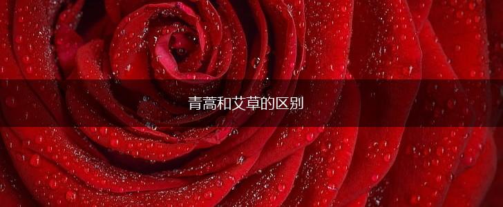青蒿和艾草的区别,第1张