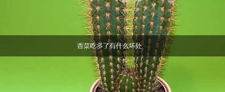 香菜吃多了有什么坏处,第1张
