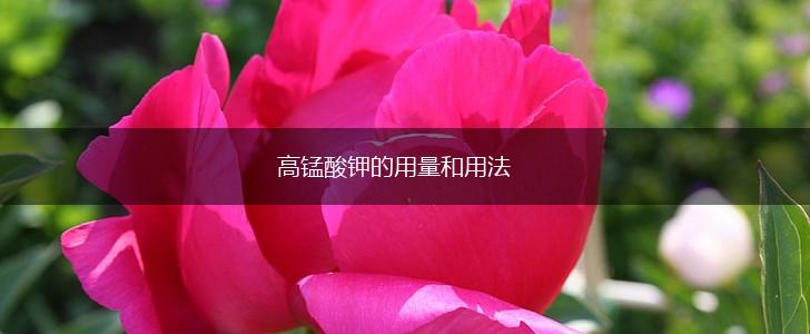 高锰酸钾的用量和用法,第1张