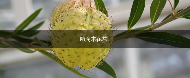 防腐木花盆,第1张