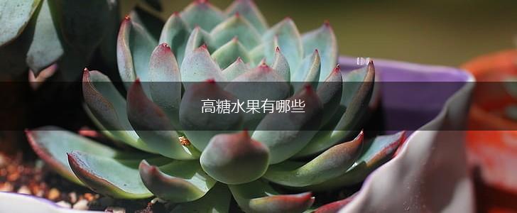 高糖水果有哪些,第1张