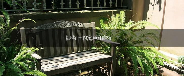 银杏叶的寓意和象征,第1张