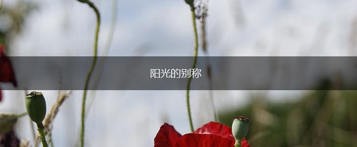 阳光的别称,第1张