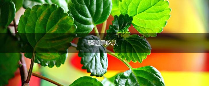 释迦果吃法,第1张