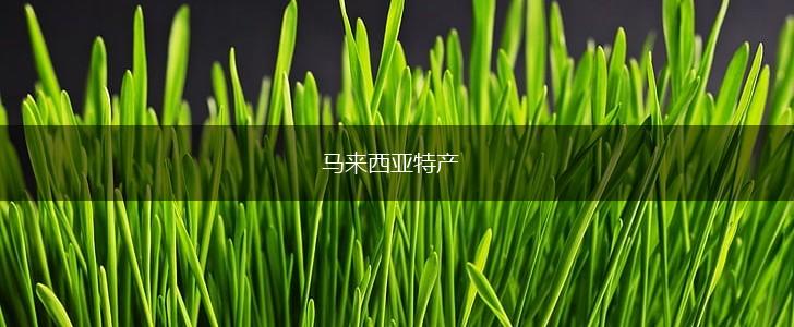 马来西亚特产,第1张