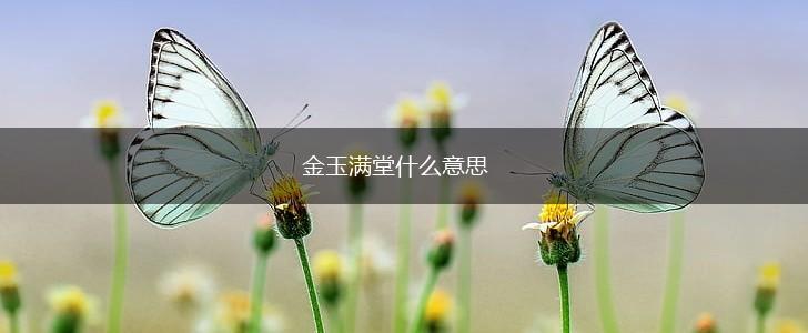 金玉满堂什么意思,第1张
