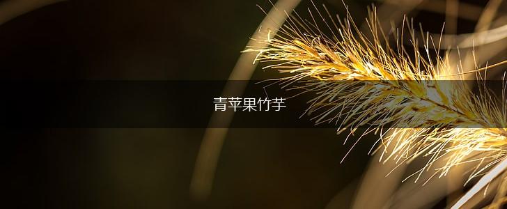 青苹果竹芋,第1张