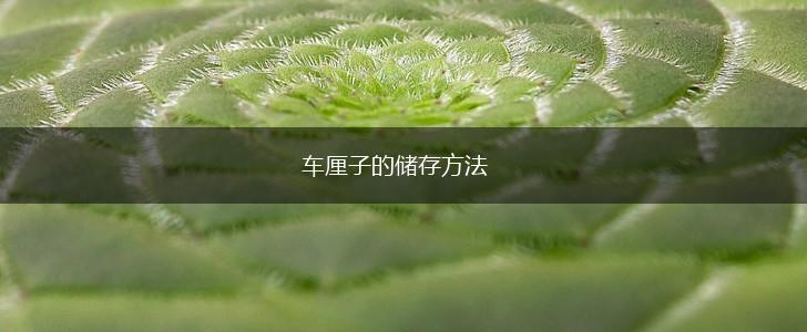 车厘子的储存方法,第1张