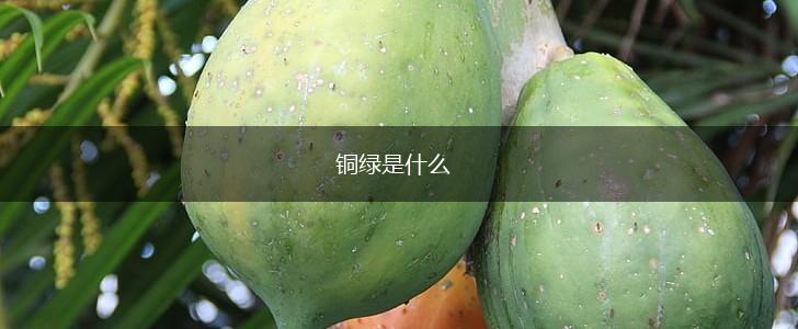 铜绿是什么,第1张