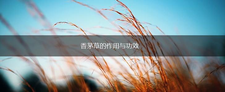 香茅草的作用与功效,第1张