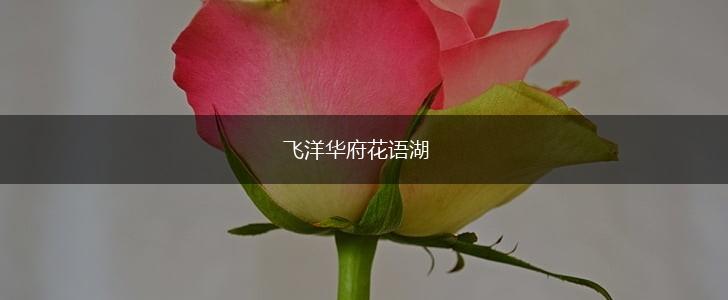 飞洋华府花语湖,第1张